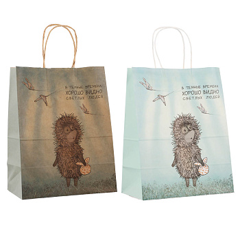 Пакет подарочный с кручеными ручками 24х14х30см, "Ёжик в тумане", в ассортименте