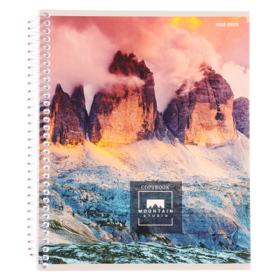 Тетрадь 96 л., А5, в клетку, БЕЛЫЕ ЛИСТЫ, обл.мел. картон, спираль, микс