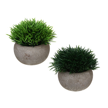 LADECOR Искусственная зелень в кашпо, 9,5x9,5x11,5 см, пластик, целлюлоза, 2 цвета