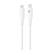 Сетевое ЗУ с кабелем BY Ньютон 20Вт, USB-C PD, каб. C-C, 3А, 1м, 110-220В, 50/60 Гц, белый Сетевое ЗУ с кабелем BY Ньютон 20Вт, USB-C PD, каб. C-C, 3А, 1м, 110-220В, 50/60 Гц, белый