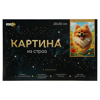ХОББИХИТ Картина из страз, комплект (стразы, основа, палочка), 20х30см, 10 дизайнов