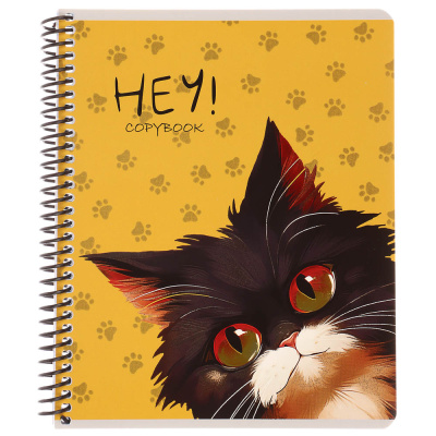 Тетрадь 96 л., А5, в клетку, БЕЛЫЕ ЛИСТЫ, обл.мел. картон, спираль, микс