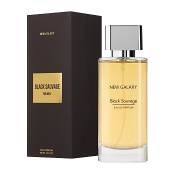 NEW GALAXY Парфюмерная вода мужская Black Sauvage, 100 мл