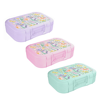 Ботаника Ланч-бокс 0,85л (18х12,5х5,5см), пластик, 3 цвета