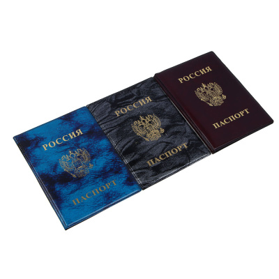 Обложка для паспорта, 13,2х9,5см, ПВХ
