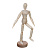 Фигурка декоративная "Деревянный человечек", 5,5х21,5 см, дерево, металл