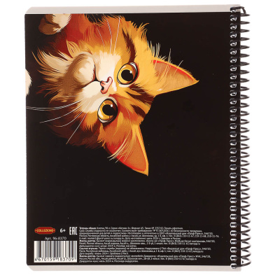 Тетрадь 96 л., А5, в клетку, БЕЛЫЕ ЛИСТЫ, обл.мел. картон, спираль, микс