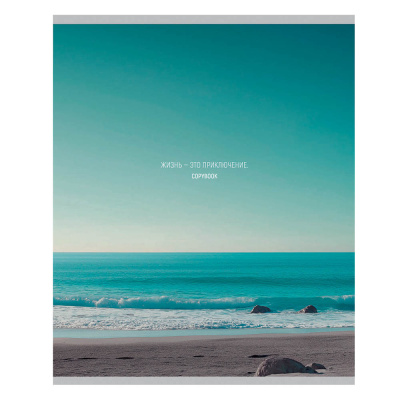 Тетрадь 48 л., А5, в клетку, БЕЛЫЕ ЛИСТЫ, обложка картон, скрепка, мат.ламинация