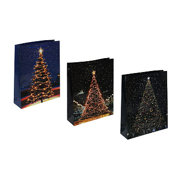 Пакет подарочный тм СНОУ БУМ, 32x40x10см, бумага, 3 дизайна, арт.7