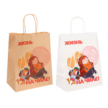 Пакет подарочный с кручеными ручками 24х14х30см, "Попугай Кеша. На чиле", в ассортименте