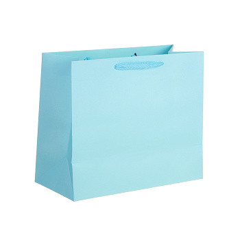 Пакет подарочный тм LADECOR, вскч бум., с ПВХ окном, М 24x20x11 см, 6цветов