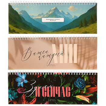 Планинг недатированный на гребне ClipStudio, размер 285х100, 52 листа