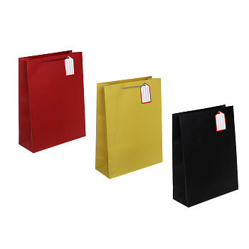 Пакет тм Fntastic подарочный, с шильдиком, XXL 40x30x12см, бумага, арт.13, 3 дизайна