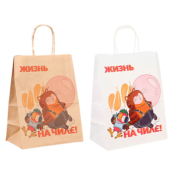 Пакет подарочный с кручеными ручками 24х14х30см, "Попугай Кеша. На чиле", в ассортименте