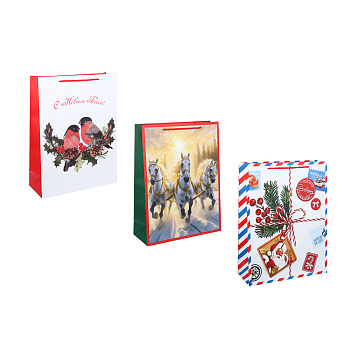 Пакет тм СНОУ БУМ подарочный бумажный, 30x40x12см, бумага, 3 дизайна