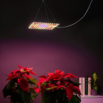 INBLOOM Подвесная фитолампа 169LED (W28; Y84; R41; B8; G8), 25х25см, 45Вт, 220В (24В), IP20