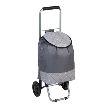 Тележка + сумка, до 30кг тм VETTA, полиэстер, 30х22х86см, 21л, колеса ЭВА d14,5см, цвет серый