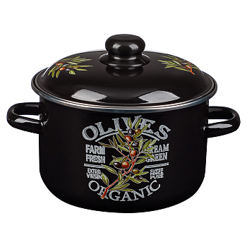 Ветка оливы Кастрюля эмалированная 4л