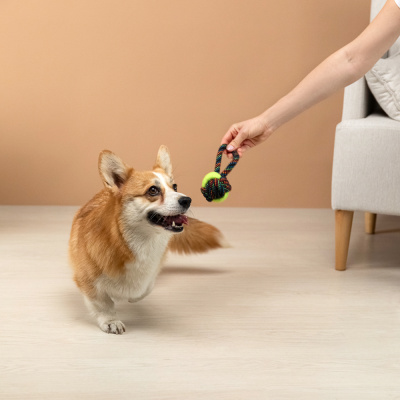 VETTA Игрушка для домашних животных, ПЭ, хлопок, 19,5 см