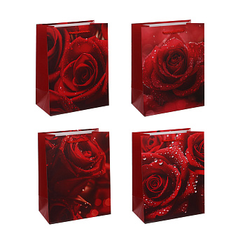 Пакет подарочный тм Fntastic 18x23x10см, бумага, 4 дизайна, арт.7