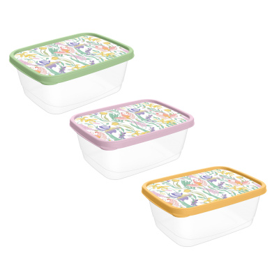 Ботаника Контейнер для продуктов прямоугольный 0,5л, пластик, 3 цвета