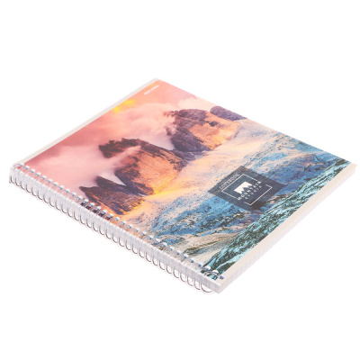 Тетрадь 96 л., А5, в клетку, БЕЛЫЕ ЛИСТЫ, обл.мел. картон, спираль, микс