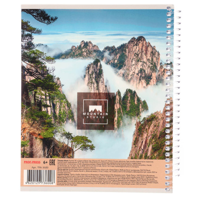 Тетрадь 96 л., А5, в клетку, БЕЛЫЕ ЛИСТЫ, обл.мел. картон, спираль, микс