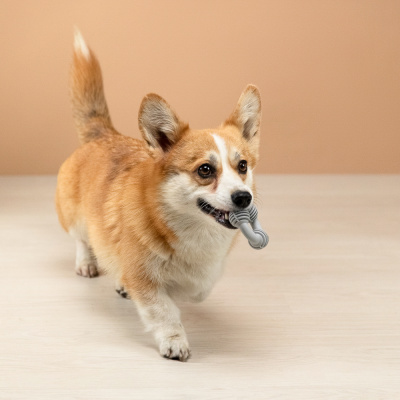 VETTA Игрушка для домашних животных, ТПР, 8 см