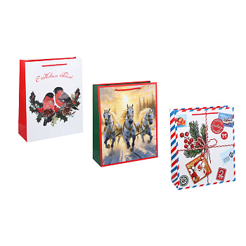 Пакет тм СНОУ БУМ подарочный, 26x32x10см, бумага, арт.29, 3 дизайна