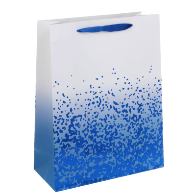 Пакет тм Fntastic подарочный, тиснение, L 32x26x10см, бумага, арт.12, 4 дизайна