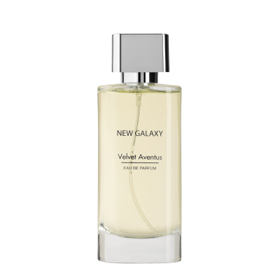 NEW GALAXY Парфюмерная вода мужская Velvet Aventus, 100 мл