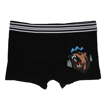 GALANTE Трусы-боксеры мужские с принтом р.56, 95%хлопок, 5%спандекс, разноцветные, НБ25-6