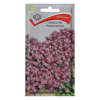 Алиссум Розовая королева 0,3гр
