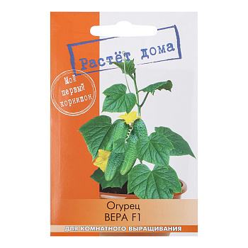 Огурец Вера F1 5 шт