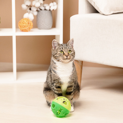 VETTA Игрушка для домашних животных, пластмасса, 9,5 см