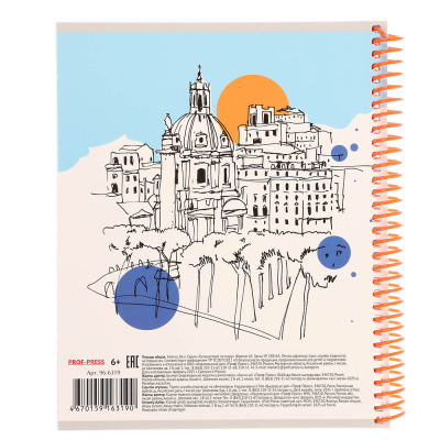 Тетрадь 96 л., А5, в клетку, БЕЛЫЕ ЛИСТЫ, обл.мел. картон, спираль, микс