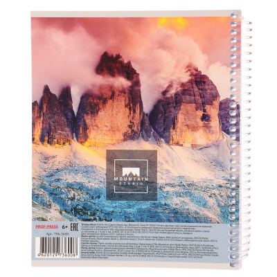 Тетрадь 96 л., А5, в клетку, БЕЛЫЕ ЛИСТЫ, обл.мел. картон, спираль, микс