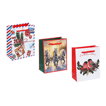 Пакет тм СНОУ БУМ подарочный, 11,5x14,5x6 см, бумага, арт.29, 3 дизайна