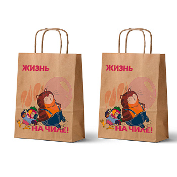 Пакет подарочный с кручеными ручками 24х14х30см, "Попугай Кеша. На чиле", в ассортименте