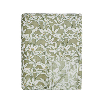 PROVANCE Эвкалипт Плед микрофибра, 150х200см, 230гр/м, зеленый