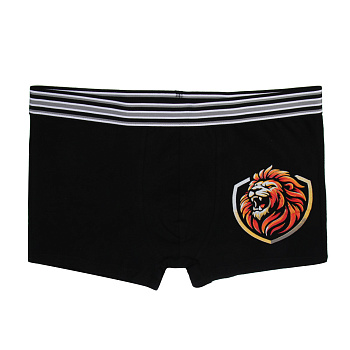 GALANTE Трусы-боксеры мужские с принтом р.54, 95%хлопок, 5%спандекс, разноцветные, НБ25-5