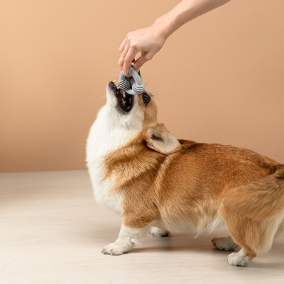 VETTA Игрушка для домашних животных, ТПР, 8 см