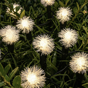 INBLOOM Гирлянда на солн. батарее, 20 LED, 5м, шампань, 2 реж, одуван, ПВХ зел, 2V60mA, 1.2V600mAh