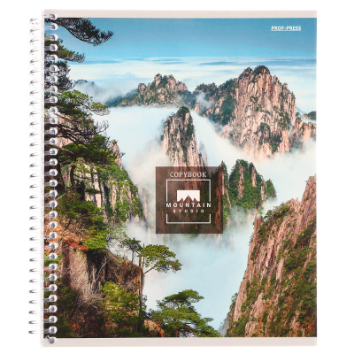 Тетрадь 96 л., А5, в клетку, БЕЛЫЕ ЛИСТЫ, обл.мел. картон, спираль, микс