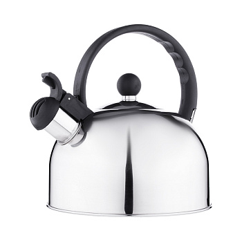Чайник стальной 2.5л, индукция, RWK007