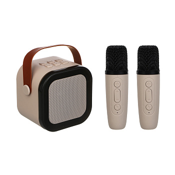 Колонка беспроводная BY Party караоке, 2 микрофона, 3Вт, 400мАч, BT5.3, USB, ВШГ 9x9x7см, белый