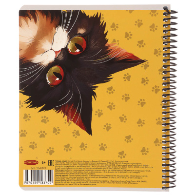 Тетрадь 96 л., А5, в клетку, БЕЛЫЕ ЛИСТЫ, обл.мел. картон, спираль, микс