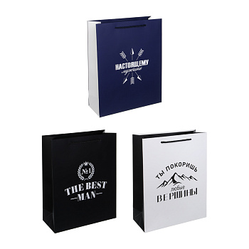 Пакет подарочный тм LADECOR "Лучшему мужчине", L 26x32x10 см, бумага