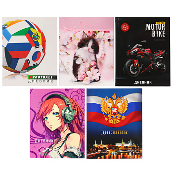 Дневник школьный для старших классов, 48л., гибкая интегральная обложка, блок офсет 60 г\м2, 5 диз.