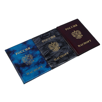 Обложка для паспорта, 13,2х9,5см, ПВХ, 3 цвета, арт.P2015-21